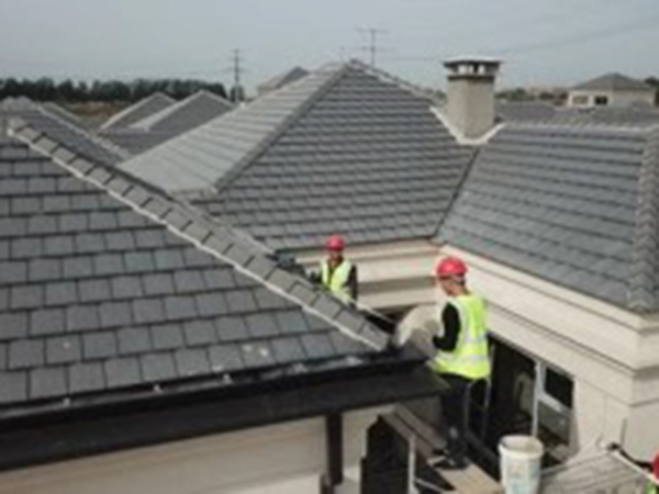 鱼乐体育app投注:能够看亲嘴的网站